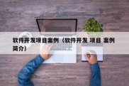 软件开发项目案例（软件开发 项目 案例 简介）